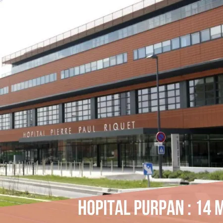 Bleu Klein - Climatisation, Wifi, Calme Apartment Toulouse